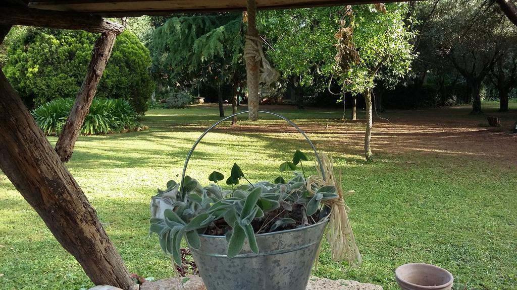 Apartamento Casale Di Caccia *